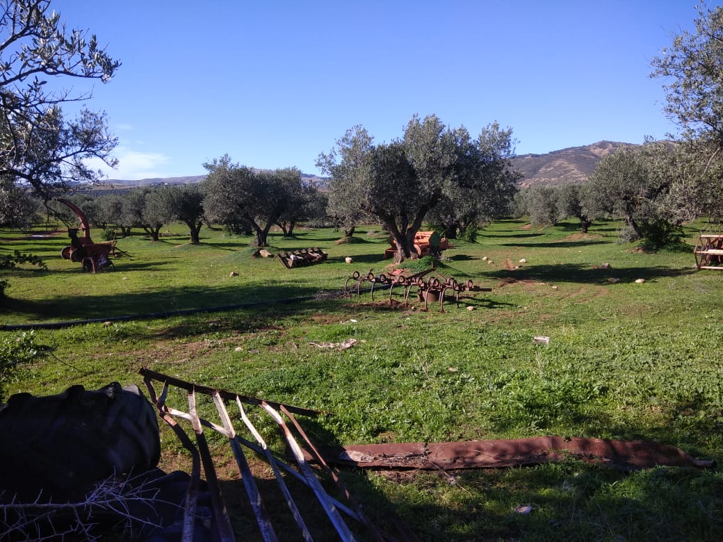 You are currently viewing Manouba : Récupération d&rsquo;une ferme domaniale agricole de 542 he.